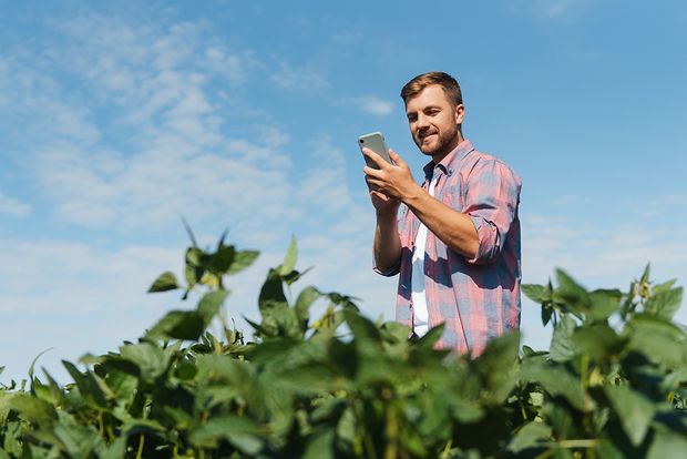 Mann auf dem Feld der ein Handy in der Hannd hält.